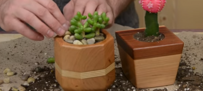 How to Make Cactus Planters